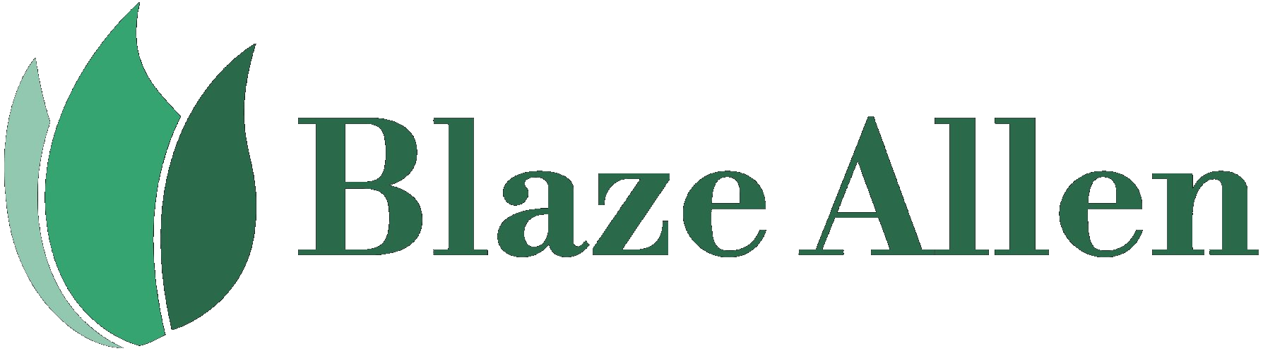 Blaze Allen LLC